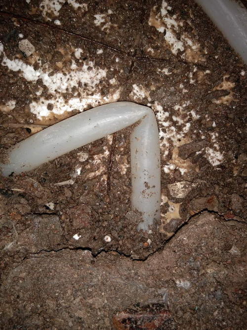 文安堵点精准查找